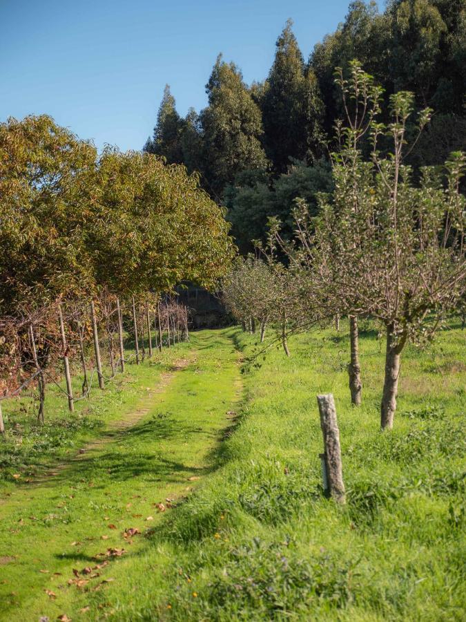 Naturena Agro-Turismo Konuk evi Durrães Dış mekan fotoğraf